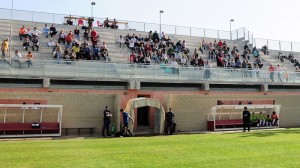 Tribuna de Son Bibiloni